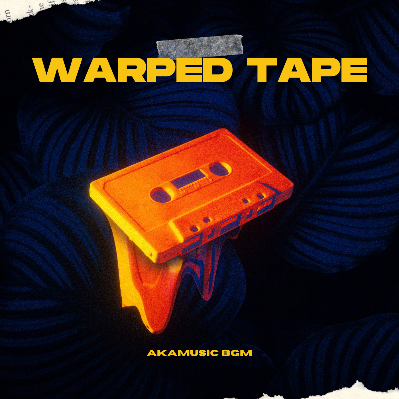 WARPED TAPE cover